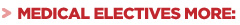 More about placements for Medical elective students